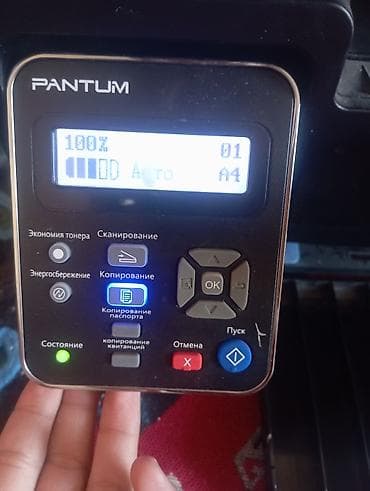 Лазерное МФУ Pantum M6500 — монохромный принтер, сканер и копир в at lalafo.kg Лазерное МФУ Pantum M6500 — монохромный принтер, сканер и копир в