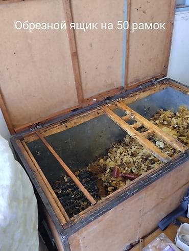 аппарат для корма: Продаю: Пчеловагон ( цех по производству меда) на 72 семьи (полная — 4