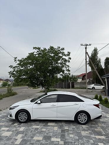 аванта айди: Hyundai Avante: 2020 г., 1.6 л, Автомат, Газ, Седан — 8