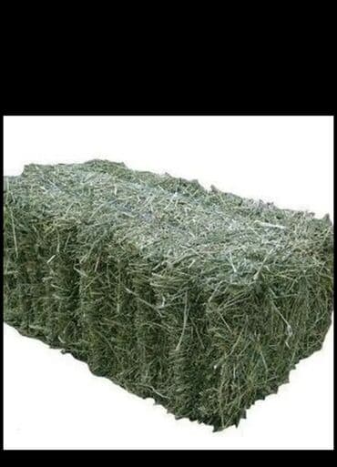 корма для сх животных: Клевер чистый 3 кос. 500 шт — 2