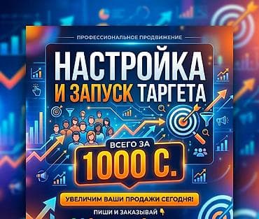 Реклама, печать: Профессиональное продвижение: настройка и запуск таргетированной — 1