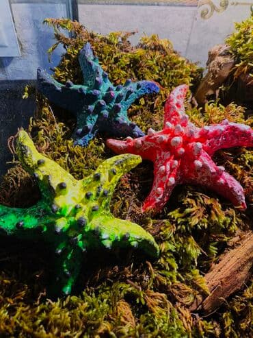 акустические системы atlanfa колонка в виде собак: 🌿 Украшения и декорации для аквариумов и террариумов 🌿 Продаю — 9