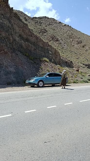 сиденья на голф: Audi A6: 1997 г., 2.4 л, Ручные, Бензин, Седан — 4