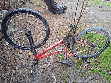 giant glory: Велосипед сатылат алдынкы донгологун ондоп койсо журот обмен бар — 1