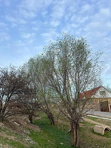 панельные дома: 6 соток, Для строительства, Красная книга — 9