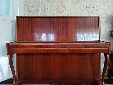 Пианино «Ласточка» (акустическое, вертикальное) - Тип: акустическое