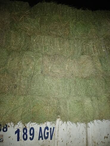 гул уруктар: Беде Беде Беде Клевер Клевер доставка укладка эсть. туки метровые — 7