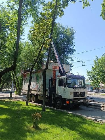 kran: Стрела 10 м, 5 т, Борт 12000 кг — 6