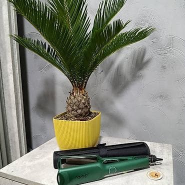 купить часы смарт: Новый Турмалиновый,Титановый, Керамический Утюжок — 10