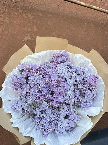 цветочная: Букеты из душистой сирени Ветка 60 сом пишите по номеру: - Состав — 3