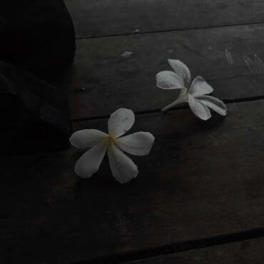 долгосрочная аренда квартир восток 5: Студия, С мебелью полностью, С мебелью частично — 1