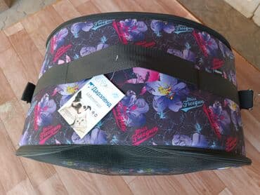 Кошки: 900 сом хорошем качестве — 2