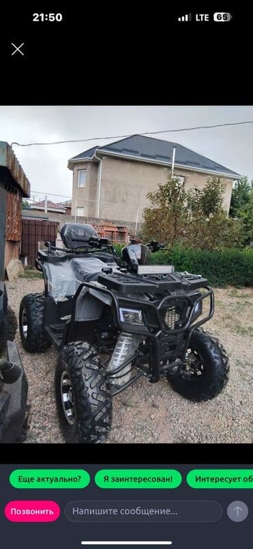 Квадроциклы: Квадроцикл Бензин, 250 куб. см, Взрослый — 7