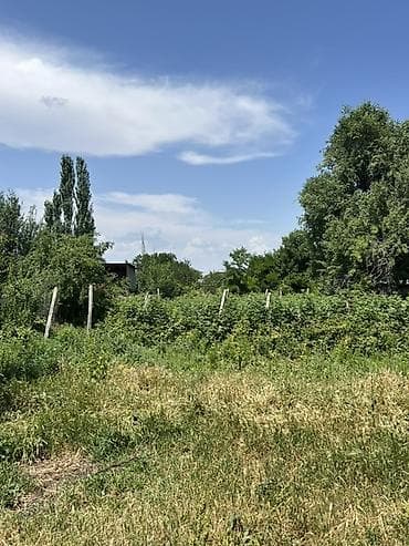4 соток, Курулуш, Сатып алуу-сатуу келишими