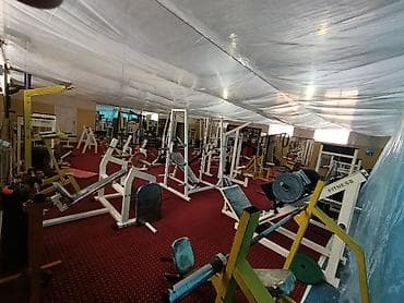 марк 115: Mercedes-Benz W124: 1995 г., 3 л, Автомат, Универсал — 8