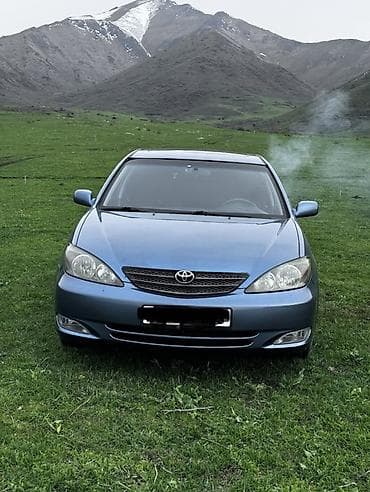 Toyota Camry: 2002 г., 2.4 л, Автомат, Бензин, Седан