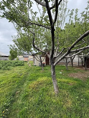 дачи участки: 12 соток, Для строительства, Красная книга — 8