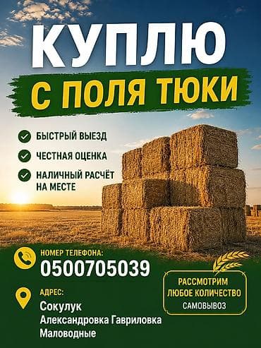 силосоуборочный комбайн: КУПЛЮ ТЮКИ С ПОЛЯ — 1