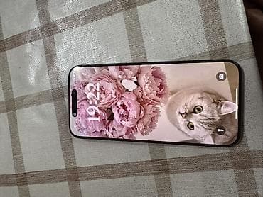 pro m1: IPhone 16 Pro Max, Б/у, 256 ГБ, Desert Titanium, Защитное стекло, Чехол, 89 % — 2