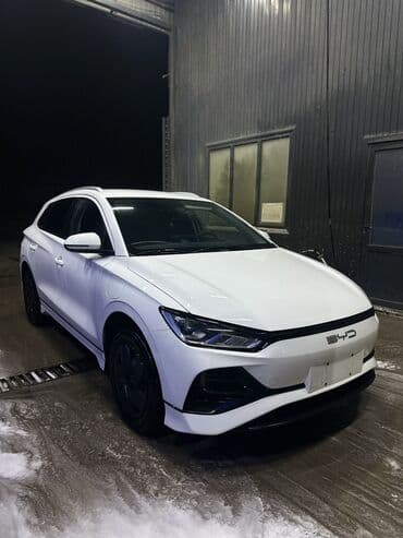 BYD: BYD : 2024 г., Электромобиль, Кроссовер — 4