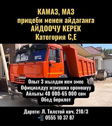 запчасть на трактор: Требуется Водитель грузового транспорта, Категория прав (CE), На фуру, 3-5 лет опыта, Питание — 1