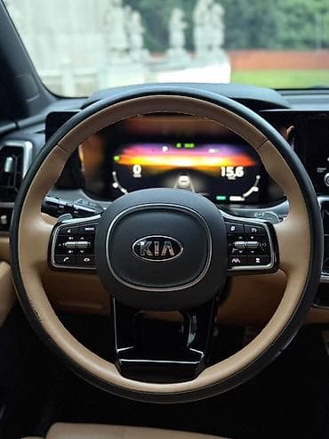 360: Kia Sorento: 2020 г., 1.6 л, Автомат, Гибрид, Кроссовер — 8