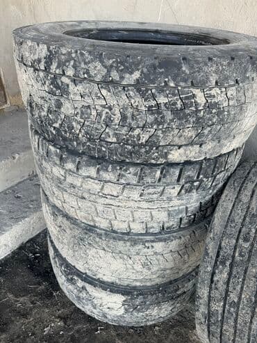 машина ман: Шины R 22,5, Всесезонная, Б/у, Комплект, Грузовики/Автобусы, Германия, Kama — 1