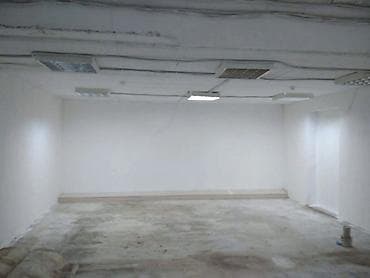 обой работа: Побелка покраска потолки, стены профессионально качественно — 4