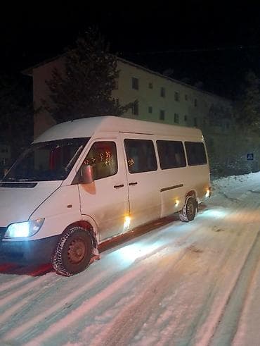 писталет краска: Mercedes-Benz Sprinter — пассажирский микроавтобус длинной базы и — 5