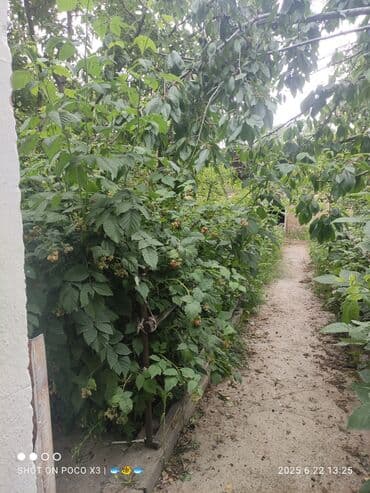 срочно большой дом: Дом, 80 м², 8 комнат, Собственник, Старый ремонт — 6