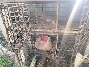 будка доя собаки: Кролятник железныйс кормушками есть одно родильное отделение.Четыре — 1