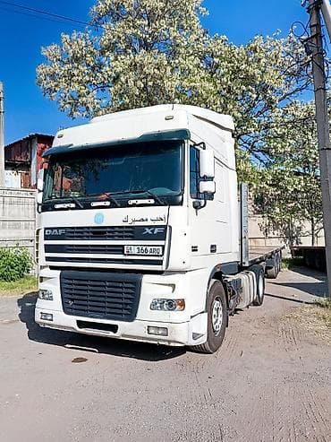даф 95 2005: Тягач, DAF, 2006 г. — 2