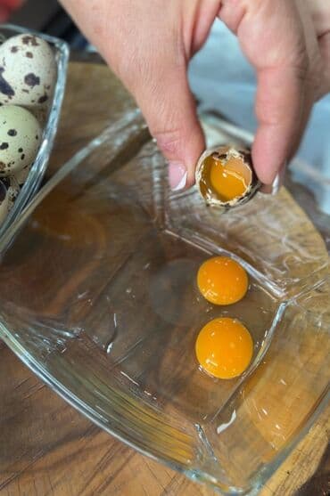 вешенки семена купить: 🪺Перепелиное яйцо от производителя❗️ ✅С фермерского хозяйства🤗 — 3