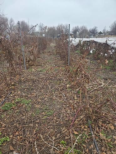 ленинский земли: 4 соток, Для строительства, Договор купли-продажи — 3