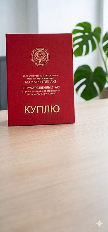 4 соток