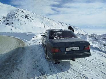 Продажа авто: Mercedes-Benz W124: 1991 г., 3 л, Механика, Дизель, Седан — 2