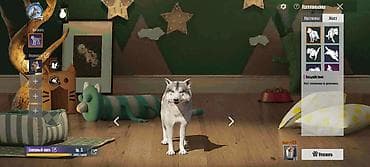 Баш кийимдер: Түсү - Кызыл — 8