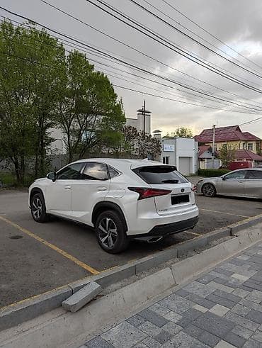 лексус nx купить: Lexus NX: 2019 г., 2 л, Автомат, Бензин, Кроссовер — 6