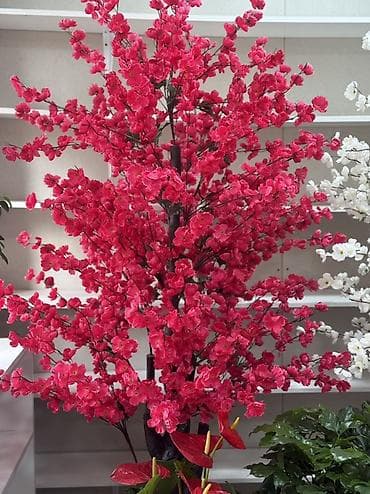 искусственная сакура: Искусственные декоративные деревья сакуры для интерьера. - Высокие — 4