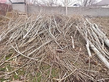 Дрова Тополь at lalafo.kg Дрова Тополь