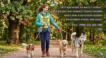 Профессиональные услуги по уходу за собаками в г. Ош. - Выгул собак