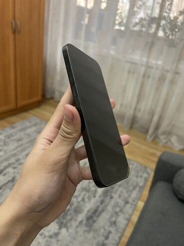 камера телефона: IPhone 16 Pro Max, Б/у, 256 ГБ, Black Titanium, Кабель, Коробка, Чехол, 100 % — 6