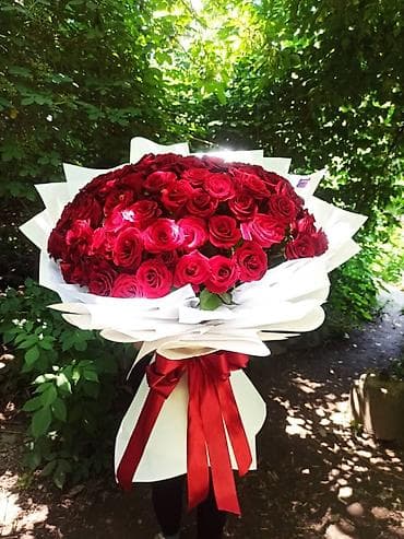 Бөлмө өсүмдүктөрү: Акция 51 роза 1900‼️Дешево Розы букеты оптом и в розницу 24/7 доставка — 4