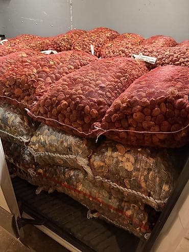 куплю орехи: Компот-Сухофрукты ассорти, натуральная сушка на солнце Баткена — 5