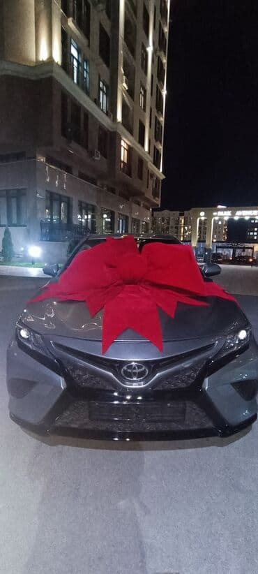 новогоднее оформление: Организация мероприятий | Гелевые шары, Ведущий, тамада, Аниматоры — 23