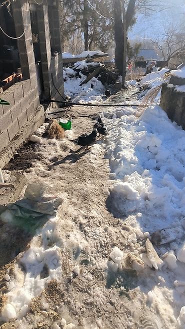 услуги уборки дома: Кладка стен из кирпича и шлакоблока. Профессиональные работы «под — 2