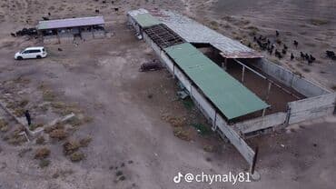 Майлуу -Сайга жакын жайгашкан кашар сатылат. бетон.темир. кирпич менен — 8