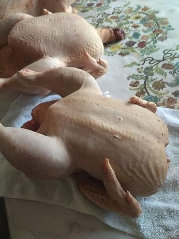 рамен бишкек: Домашняя тушка бройлерных кур (целиком), цена за кг 500 сом - — 1