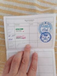 кой кыркыч: Кошка даром: Беспородная, 11 месяцев, Девочка, Приучена к лотку, Проглистована, С документами — 2