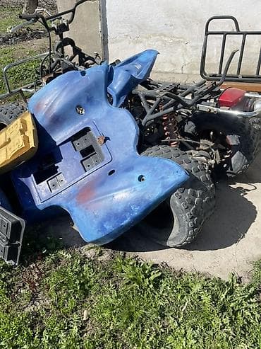 мото пластик: Квадроцикл Бензин, 350 куб. см, Взрослый — 1